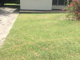 MONA, Kingston / St. Andrew, Jamaica - House for Sale